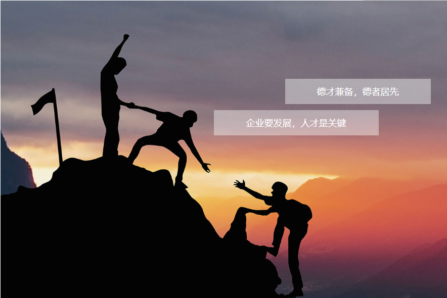 2025新澳门原料网大全