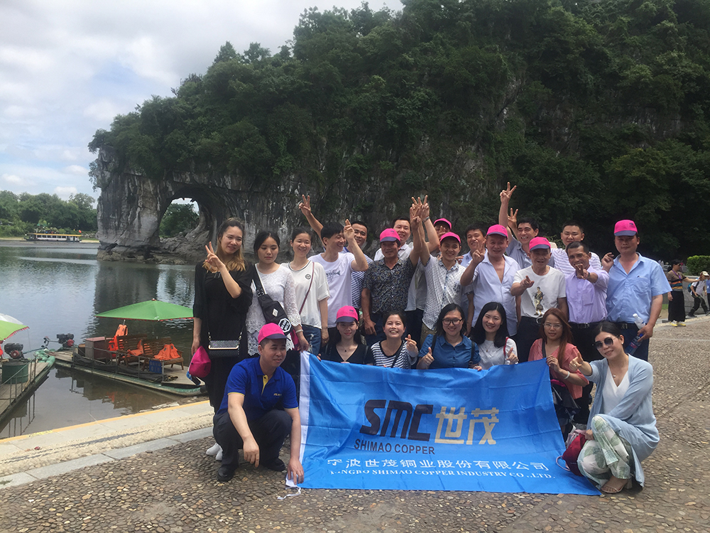 2025新澳门原料网大全